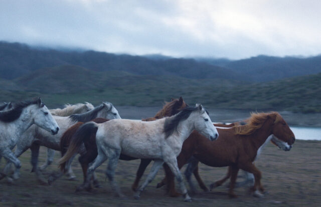 Ο Χρυσός Διόνυσος της Δράμας στο «Noi» του Νεριτάν Ζιντζιρία