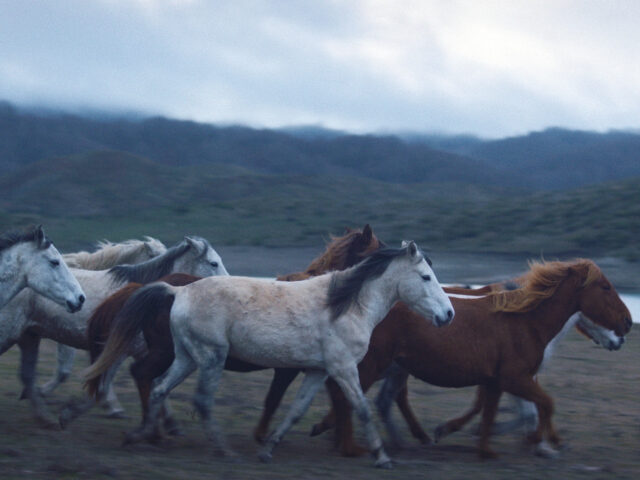 Ο Χρυσός Διόνυσος της Δράμας στο «Noi» του Νεριτάν Ζιντζιρία