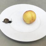 Η Στέγη παρουσιάζει την έκθεση “you are invited” του Juergen Teller στο Onassis Ready