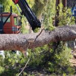Η ανακοίνωση του Δήμου Αθηναίων στην πτώση των δέντρων