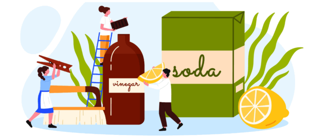 Εργαστήριο βιωσιμότητας στο Goethe-Institut Athen: Φυτά και οικολογική καθαριότητα