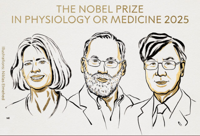Οι επιστήμονες Μπράνκοου, Ράμσντελ και Σακαγκούτσι τιμήθηκαν με το Νόμπελ Ιατρικής