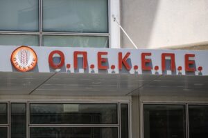 Σκάνδαλο ΟΠΕΚΕΠΕ: Προφυλακίστηκε 54χρονος λογιστής από τα Γιαννιτσά