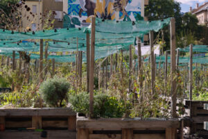 Στη Βουδαπέστη ένας κλιματικός κήπος είναι η απόδειξη ότι μπορούμε να έχουμε δάση στο κέντρο της πόλης