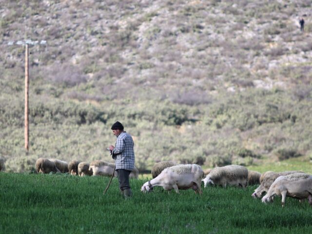 ΥΠΑΑΤ: Νέες αποζημιώσεις σε κτηνοτρόφους για την ευλογιά των αιγοπροβάτων