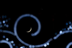 Η ποίηση της φύσης γεννάει ευτυχία: Εικόνες της γης από το 2025