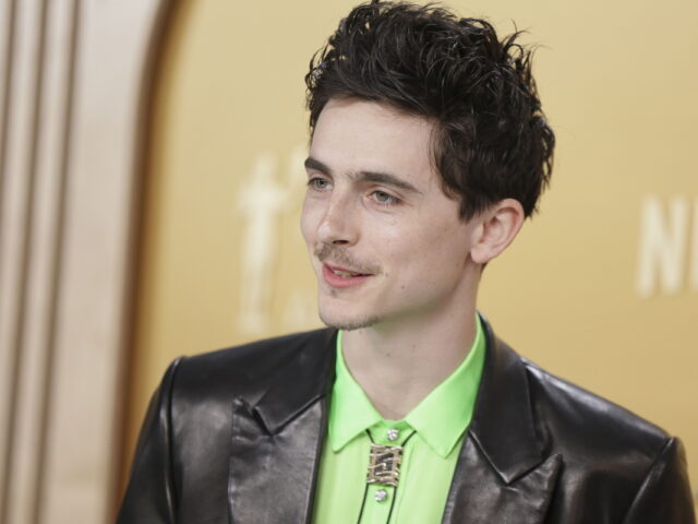 «Marty Supreme»: Ιστορικό ρεκόρ για τον Τίμοθι Σαλαμέ και την A24 στο χριστουγεννιάτικο box office