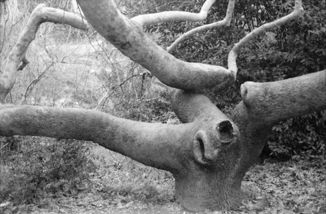 35 σύγχρονες ελληνίδες φωτογράφοι σε μία έκδοση