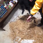 Αγρίνιο: Διαμαρτυρία αγροτών με σανό και κοπριά στα γραφεία βουλευτών της ΝΔ