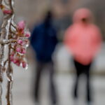 ΗΠΑ: Τους 30 έφτασαν οι νεκροί από το πολικό ψύχος που πλήττει τη χώρα