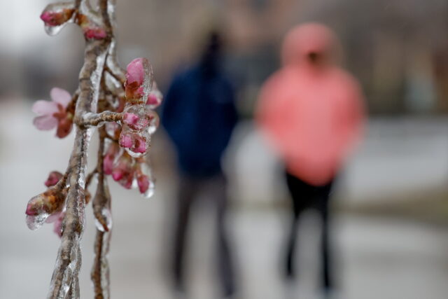 ΗΠΑ: Τους 30 έφτασαν οι νεκροί από το πολικό ψύχος που πλήττει τη χώρα