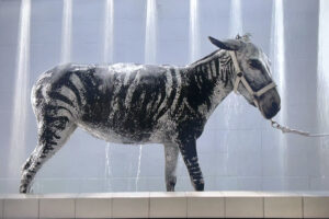 Είναι η σημαντικότερη έκθεση στην Αθήνα η «All Eyes on Palestine»;