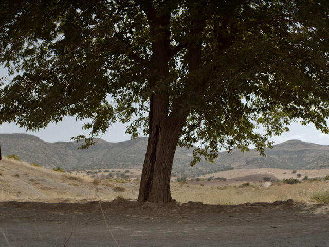 Η «Λύτρωση» του Emin Alper, ταινία με ελληνική συμπαραγωγή, στο Διαγωνιστικό Τμήμα της Berlinale