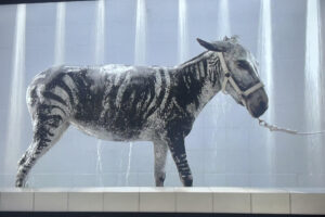 Είναι η σημαντικότερη έκθεση στην Αθήνα η «All Eyes on Palestine»;