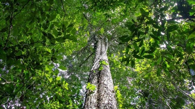 Κι όμως, υπάρχει μια χώρα που έχει καταφέρει να είναι πλήρως αυτάρκης σε τρόφιμα 
