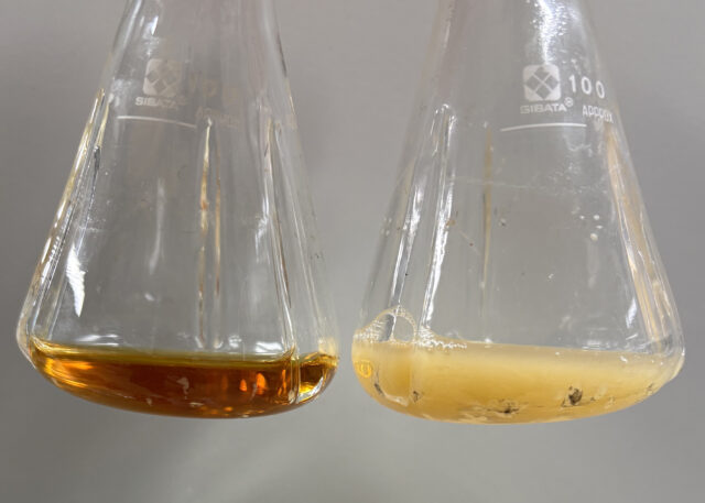 Επιστήμονες δημιούργησαν ενώσεις με αντικαρκινικές και αντιφλεγμονώδεις ιδιότητες από βακτήρια E.coli