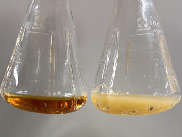 Επιστήμονες δημιούργησαν ενώσεις με αντικαρκινικές και αντιφλεγμονώδεις ιδιότητες από βακτήρια E.coli