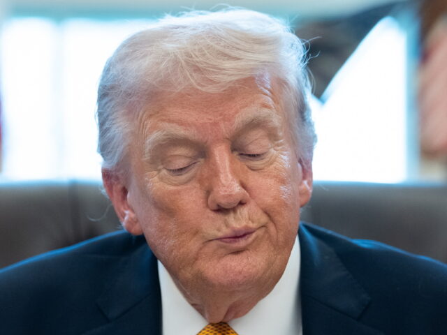 Έξαλλος ο Τραμπ με τους συμμάχους των ΗΠΑ