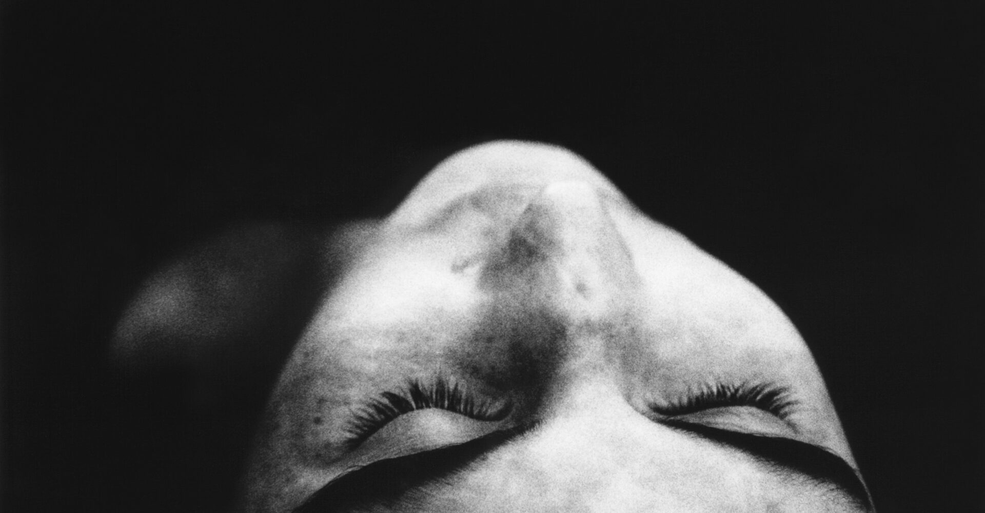 Η Ευγενία Αραβαντινού παρουσιάζει στη Θεσσαλονίκη φωτογραφίες κυριολεκτικά νεκρής φύσης