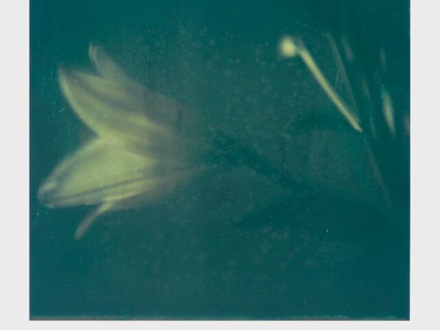 It’s Always the Sun: Εγκαίνια Έκθεσης φωτογραφίας της Ελισάβετ Μωράκη