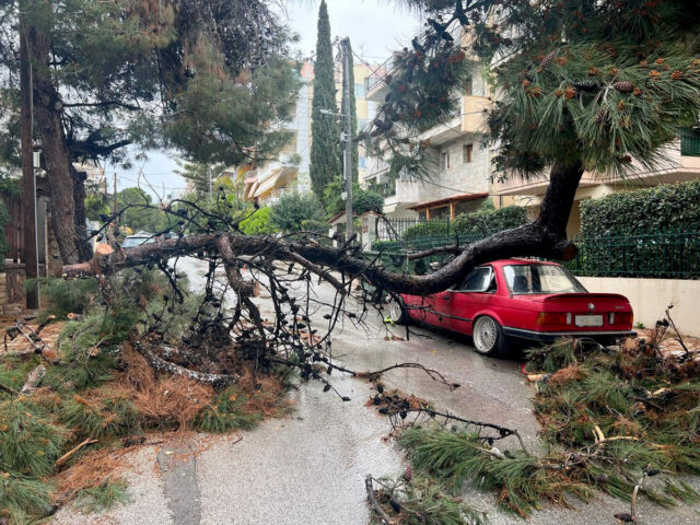 Κακοκαιρία Erminio: Προβλήματα και απεγκλωβισμοί σε Διόνυσιο και Ωρωπό