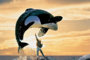 Το αγαπημένο Free Willy των ’90s επιστρέφει με reboot