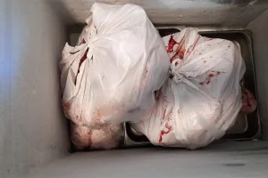 Κατασχέθηκαν 6,2 τόνοι ακατάλληλων κρεάτων στην Αττική, βρέθηκε παράνομο εργοστάσιο στο Ίλιον