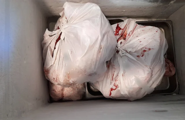 Κατασχέθηκαν 6,2 τόνοι ακατάλληλων κρεάτων στην Αττική, βρέθηκε παράνομο εργοστάσιο στο Ίλιον