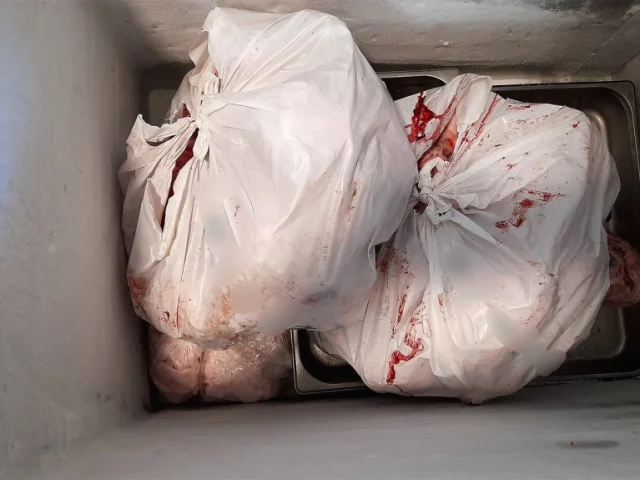 Κατασχέθηκαν 6,2 τόνοι ακατάλληλων κρεάτων στην Αττική, βρέθηκε παράνομο εργοστάσιο στο Ίλιον