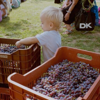 Μα, ποιος πατάει σταφύλια μεσημέρι Σαββάτου στο κέντρο της Αθήνας;