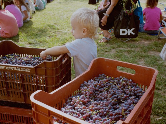 Μα, ποιος πατάει σταφύλια μεσημέρι Σαββάτου στο κέντρο της Αθήνας;