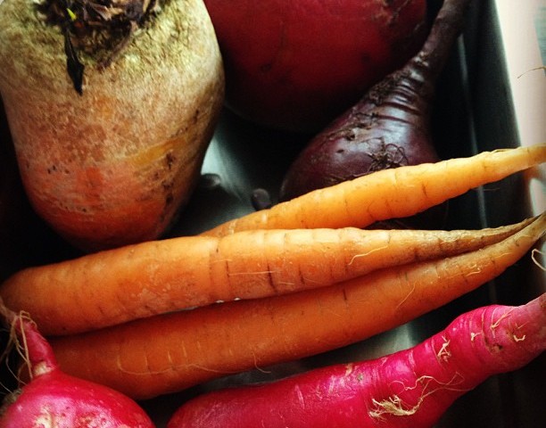 Το Φθινόπωρο και ο Χειμώνας