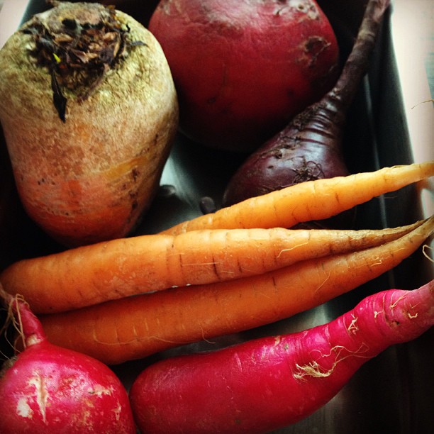 Το Φθινόπωρο και ο Χειμώνας