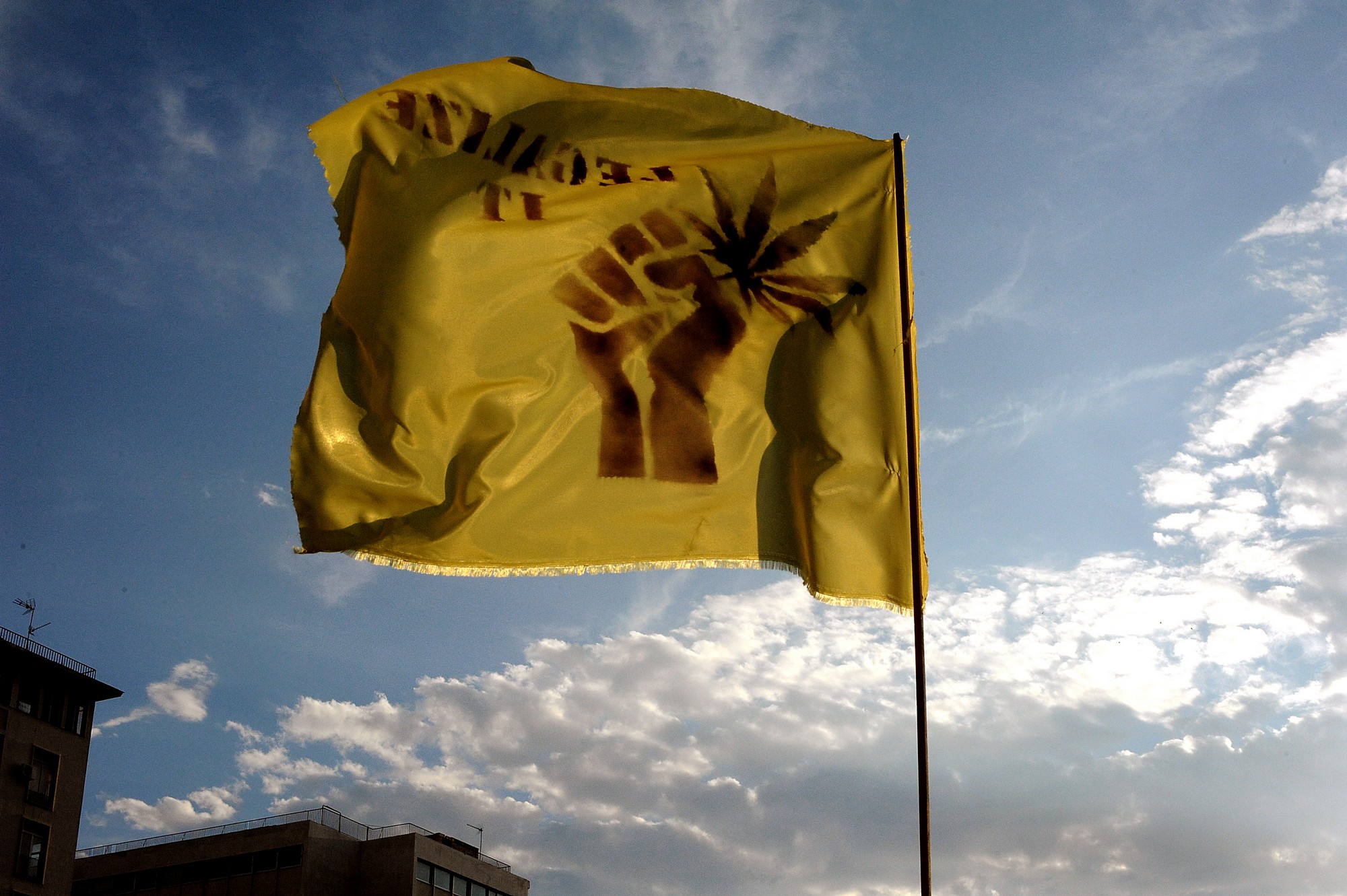 Νόμιμη η καλλιέργεια ιατρικής κάνναβης στην Ελλάδα