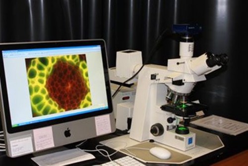 Σε Αμερική και Γερμανία το Νόμπελ Χημείας