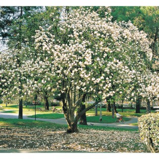 Εξήντα επτά χρόνια στρογγυλά είναι λίγα ή πολλά;