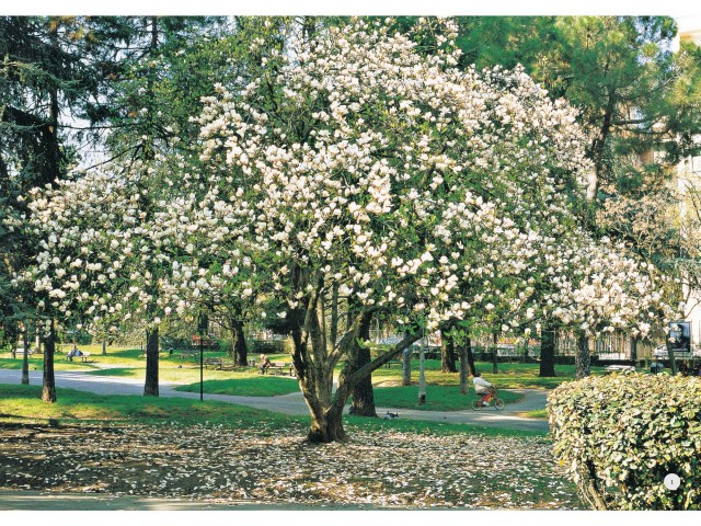 Εξήντα επτά χρόνια στρογγυλά είναι λίγα ή πολλά;