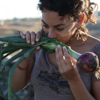Η Αλεξάνδρα Στράτου έχει γράψει ένα σπουδαίο βιβλίο για την ελληνική κουζίνα