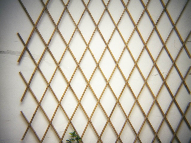 Το νησί μας είναι γιομάτο απαρηγόρητους θορύβους. (Seamus Heaney)