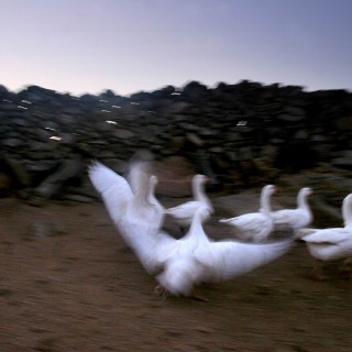 Το φτωχικό σπίτι του Μιχαήλ Χρ. Κκάσιαλου