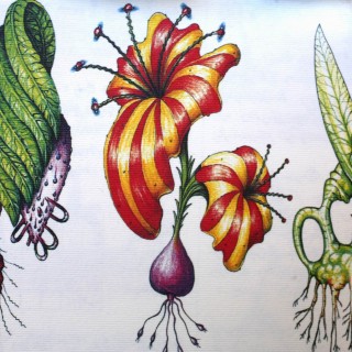 εκατονογδονταεπτά