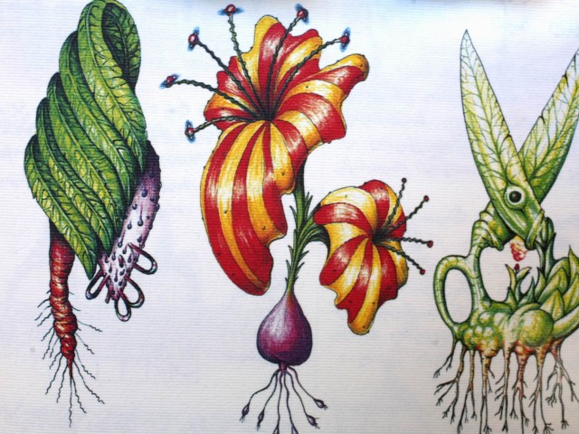 εκατονογδονταεπτά