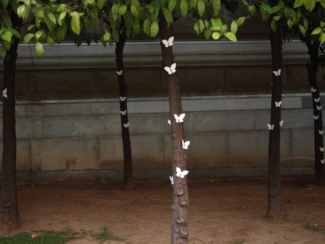 Το κέντρο της Αθήνας γέμισε λευκές πεταλούδες