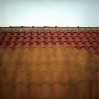 «Ο λύκος και τα κατσικάκια», ένα ποίημα της Κικής Δημουλά