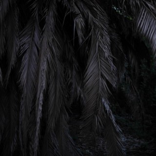 Η θυσία της Ιφιγένειας