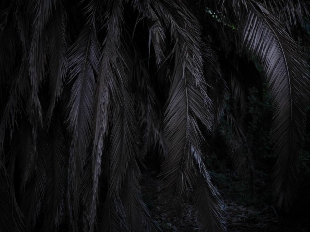 Η θυσία της Ιφιγένειας