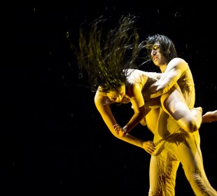 Πλάνητες ή η μετανάστευση του σύγχρονου χορού