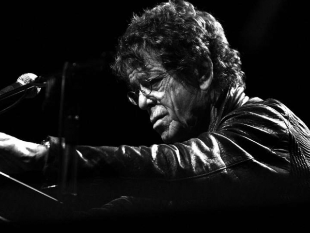 Walk on the wild side