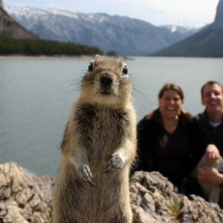 To κατάλληλο timing
