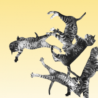 The Useless Web: Ποιος είπε ότι όλο το Ίντερνετ είναι χρήσιμο;